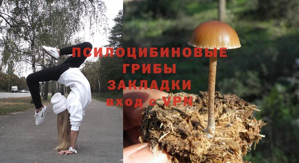 МДПВ Куйбышев