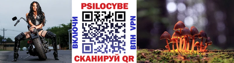 Галлюциногенные грибы GOLDEN TEACHER  Купить  Белинский 